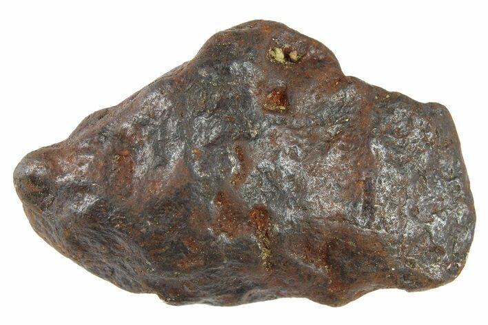 Canyon Diablo Iron Meteorite ( g) - Arizona #262877